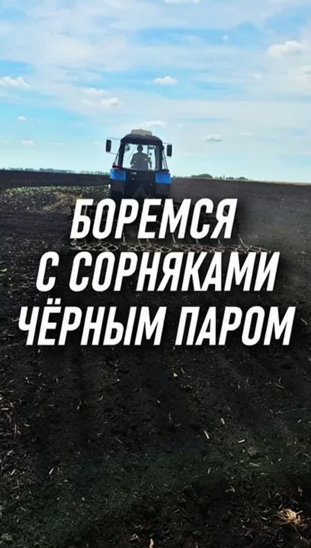 Как мы боремся с сорняками? Все просто! Качественная обработка черных паров! #AUM #YogaFerma