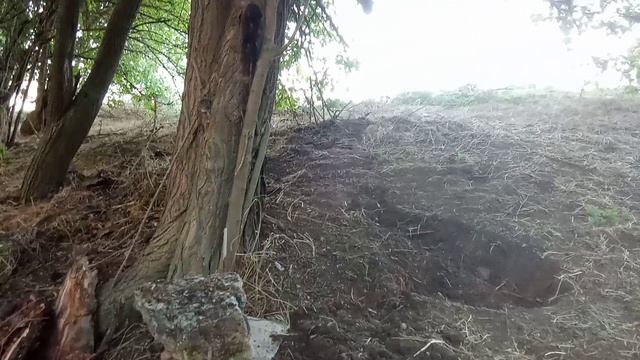 VID_20260823_185150