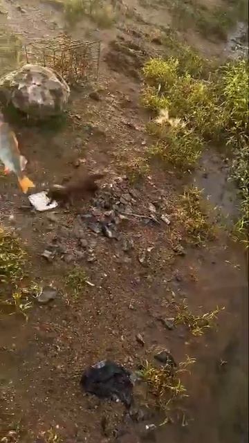 Главное что бы за крючок не зацепился