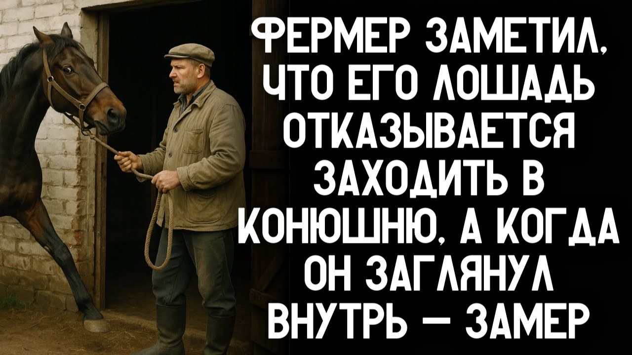 Фермер заметил: лошадь не идёт в конюшню. Заглянул внутрь — и замер от увиденного. Аудио-рассказ!