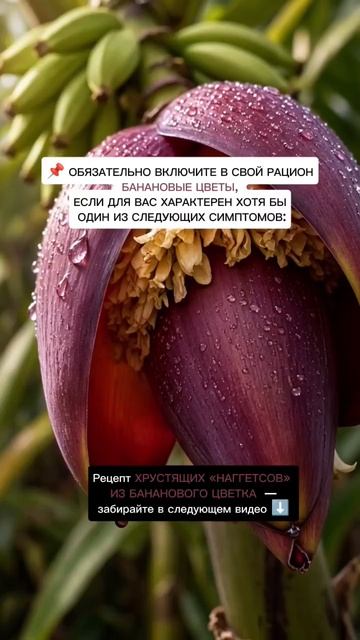 Банановые цветки :