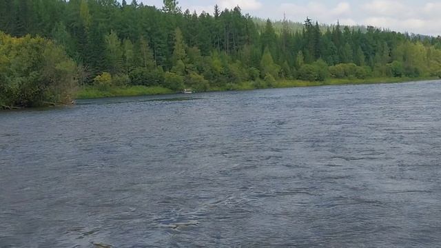 Сплав по Таюре