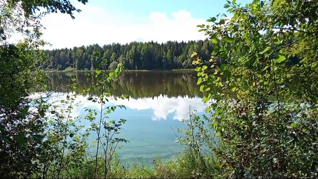 Третий день отдыха в профилактории 🏣 - прогулка по лесу🌳- обзор бассейна 🏊🏻