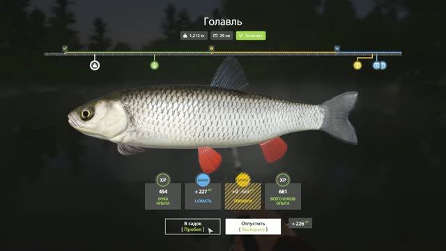 Голавль на спиннинг!