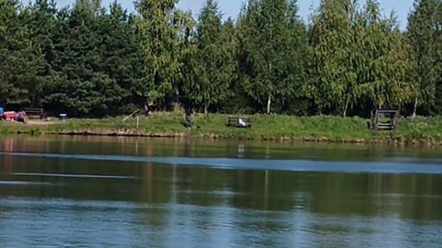 поимка карпа