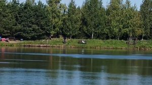 поимка карпа