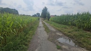 21 Августа , Погуляли после работы