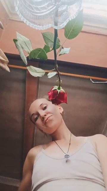 Розочка 🌹