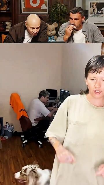 Смешные видео, юмор и приколы