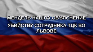 Мендель нашла объяснение убийству сотрудника ТЦК во Львове