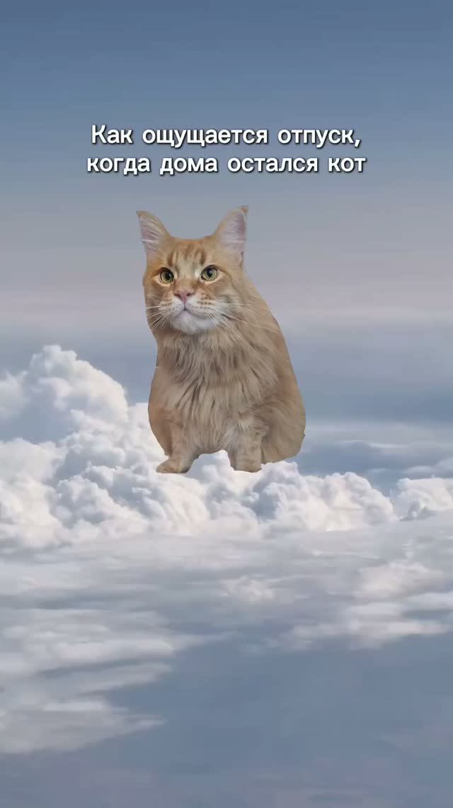 Я всегда думаю о тебе
