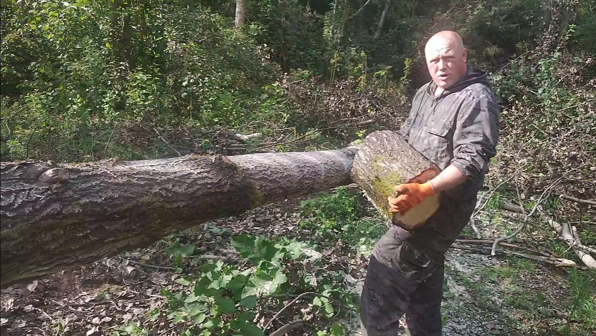 Мы на ЛеСоПоваЛе!!!! 🌲🌳🪵 ПИЛИМ ДЕРЕВЬЯ!