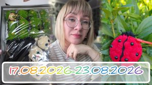 Вязальный дневник 17.08.2026-23.08.2026: мышки-норушки, сбор заказа, покупки...