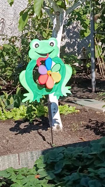 В нашем 🌳🌼🌸🌺 саду живут 🐸🐸🐸/Сколько их? 😉