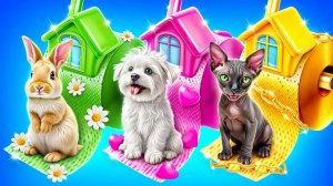 Мы построили секретные домики для животных!