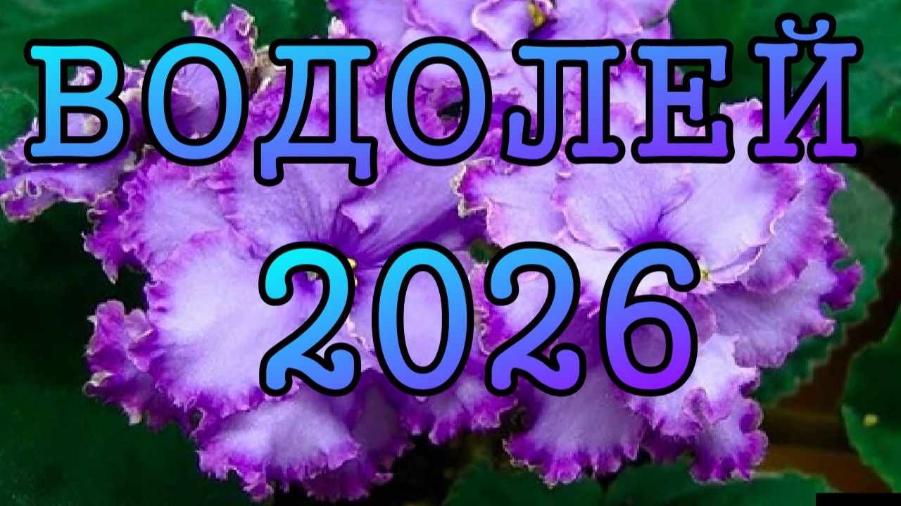 ВОДОЛЕЙ таро прогноз на 2026 ГОД.