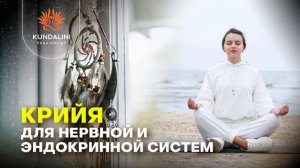 Крийя для нервной системы и эндокринной системы
