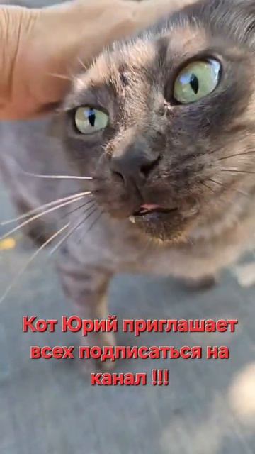 Юрий