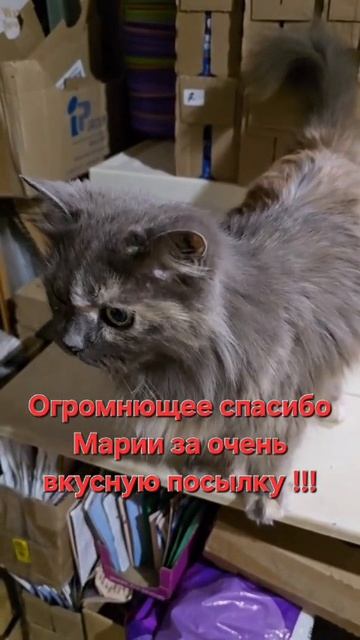 Огромное спасибо Марии!!!