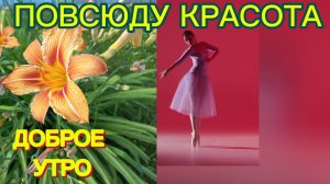 Доброе утро Красота повсюду Живите С любовью ко всему,что вас окружает