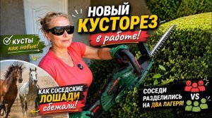 Санта Барбара по французски у нас.