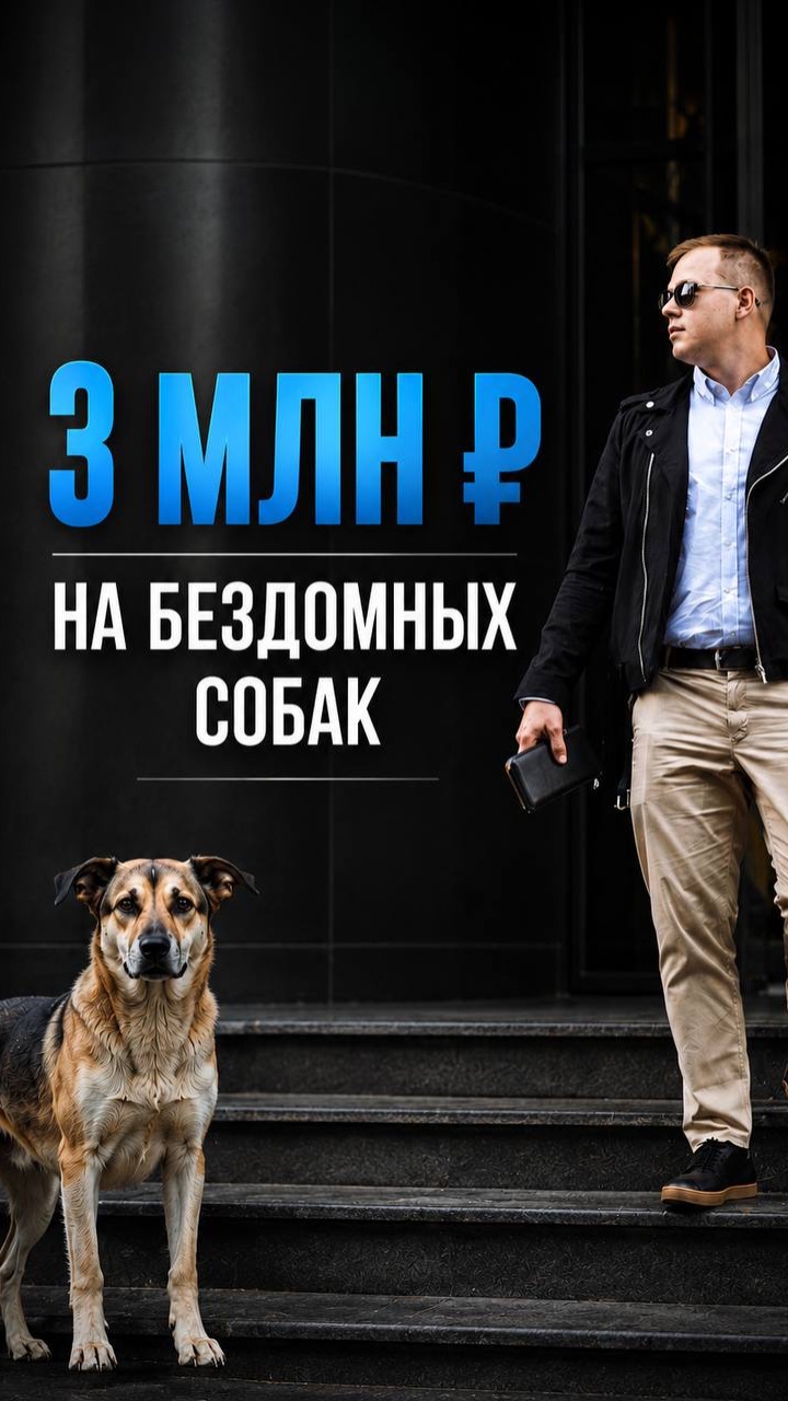 Сколько стоит 1 бездомная собака для государства