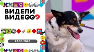 Видели видео? Выпуск от 23.08.2026