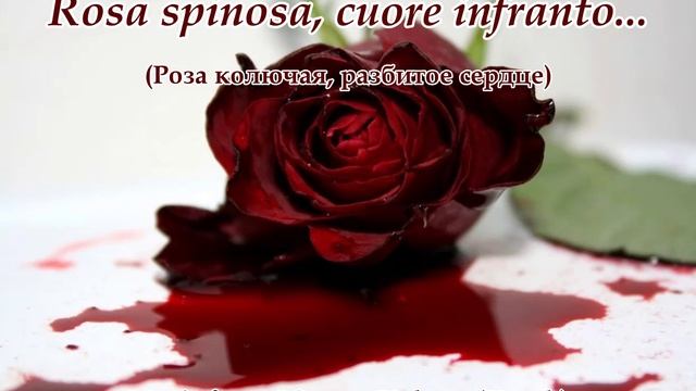 Rosa Spinosa... 2(Music From Sergey Kolosov)