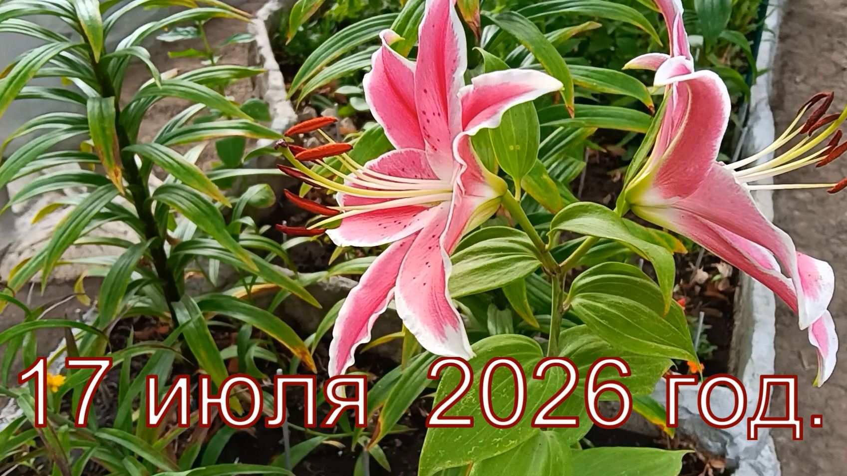 17 июля 2026 год, ( Месяц июль часть 1 )