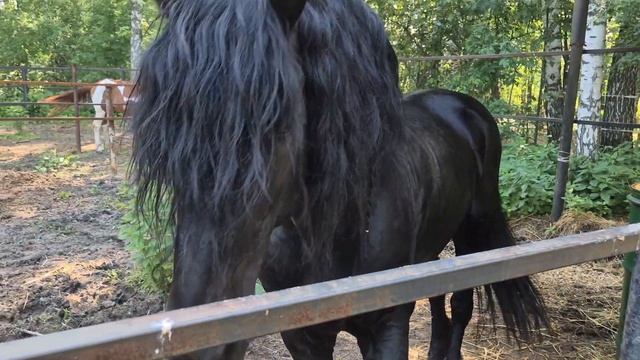 Казачий острог