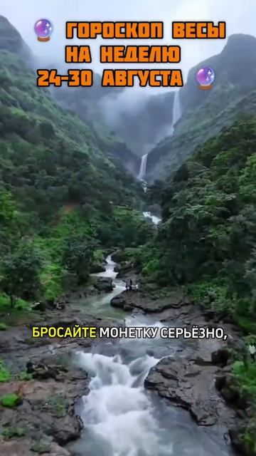 🔮 ГОРОСКОП ВЕСЫ НА НЕДЕЛЮ 24–30 АВГУСТА 🔮