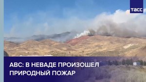 ABC: в Неваде произошел природный пожар