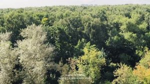 Москва, лесопарк Лосиный остров 🌳🌲🌳🌲 22.08.2026