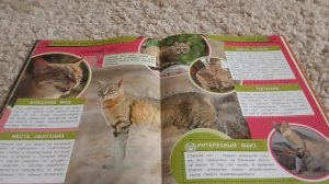 реакция на мою книгу (Больше кошки дикие животные Африки) часть 3