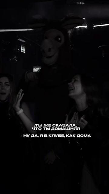 Вечеринки в Давай лама!