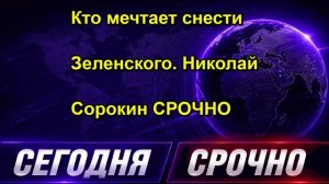 Кто мечтает снести Зеленского. Николай Сорокин СРОЧНО