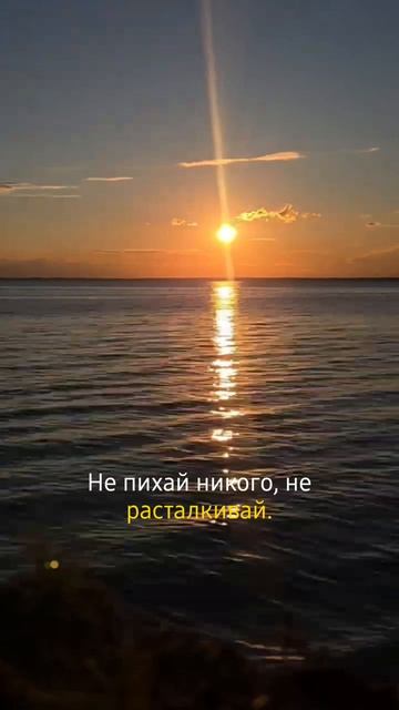 Подписывайся, у меня много интересного 🌸