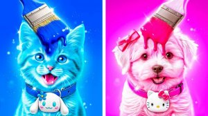 Челлендж одного цвета! Строим секретную комнату для животных!
