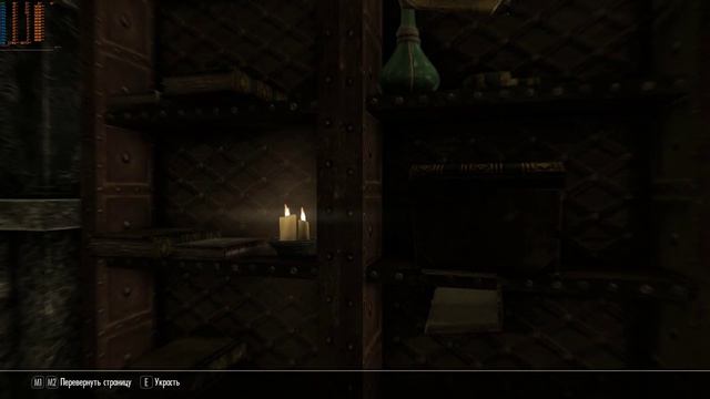 The Elder Scrolls V Skyrim. Необычная книжка