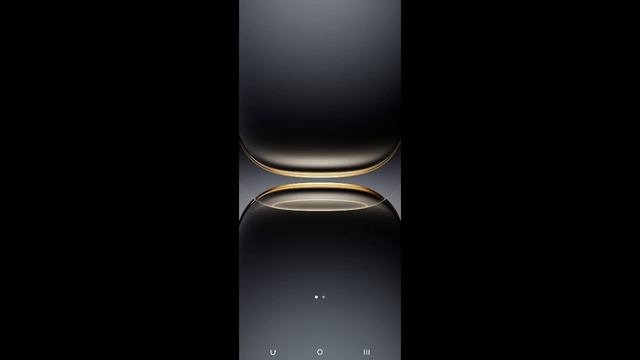 2915.mp4