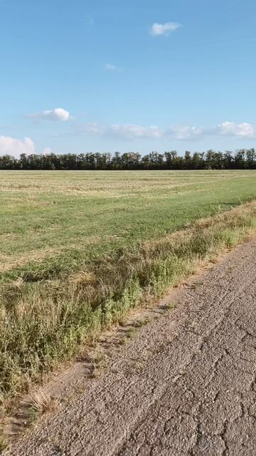 Велопрогулка по полям Краснодарского края