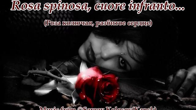 Rosa Spinosa...(Music From Sergey Kolosov)