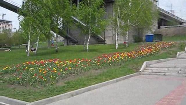 Новосибирск. Михайловская набережная Оби