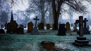 С чем можно сравнить политическую жизнь в современной России?