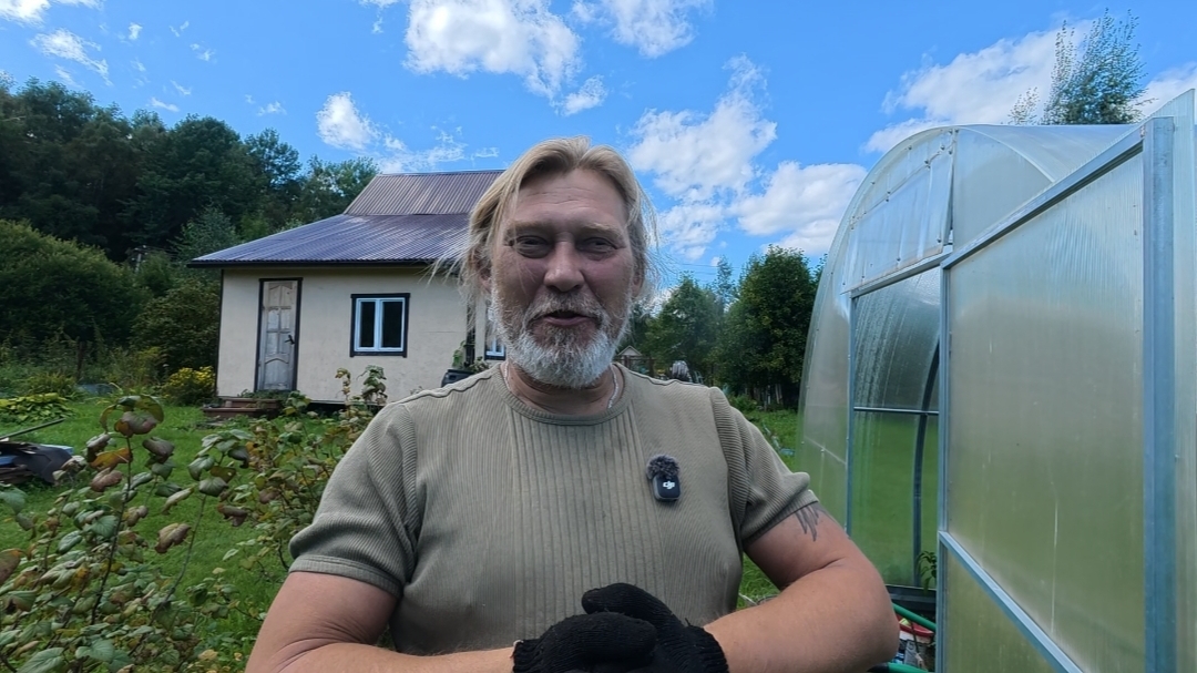 Какой ещё урожай ожидается на моём участке!