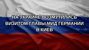 На Украине возмутились визитом главы МИД Германии в Киев