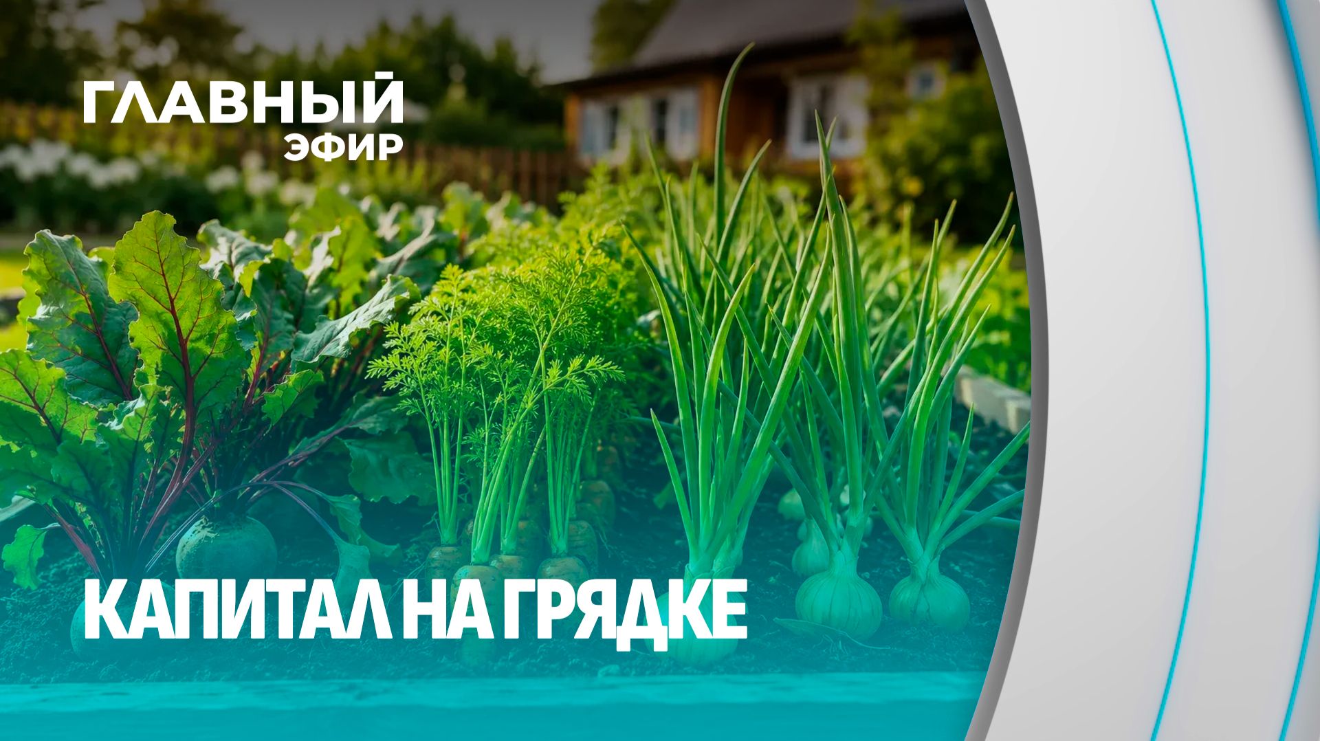 Куда нести лишние кабачки? Белкоопсоюз принимает урожай у дачников. Главный эфир