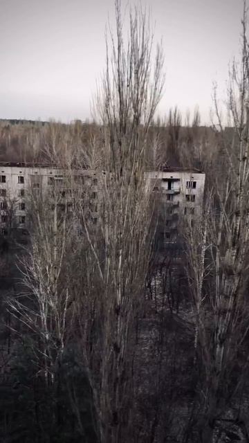 всё привет