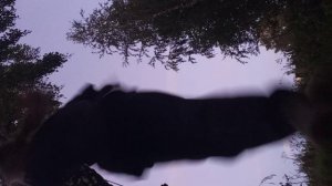 огнелёд