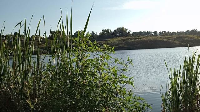 Рыбалка на Озере